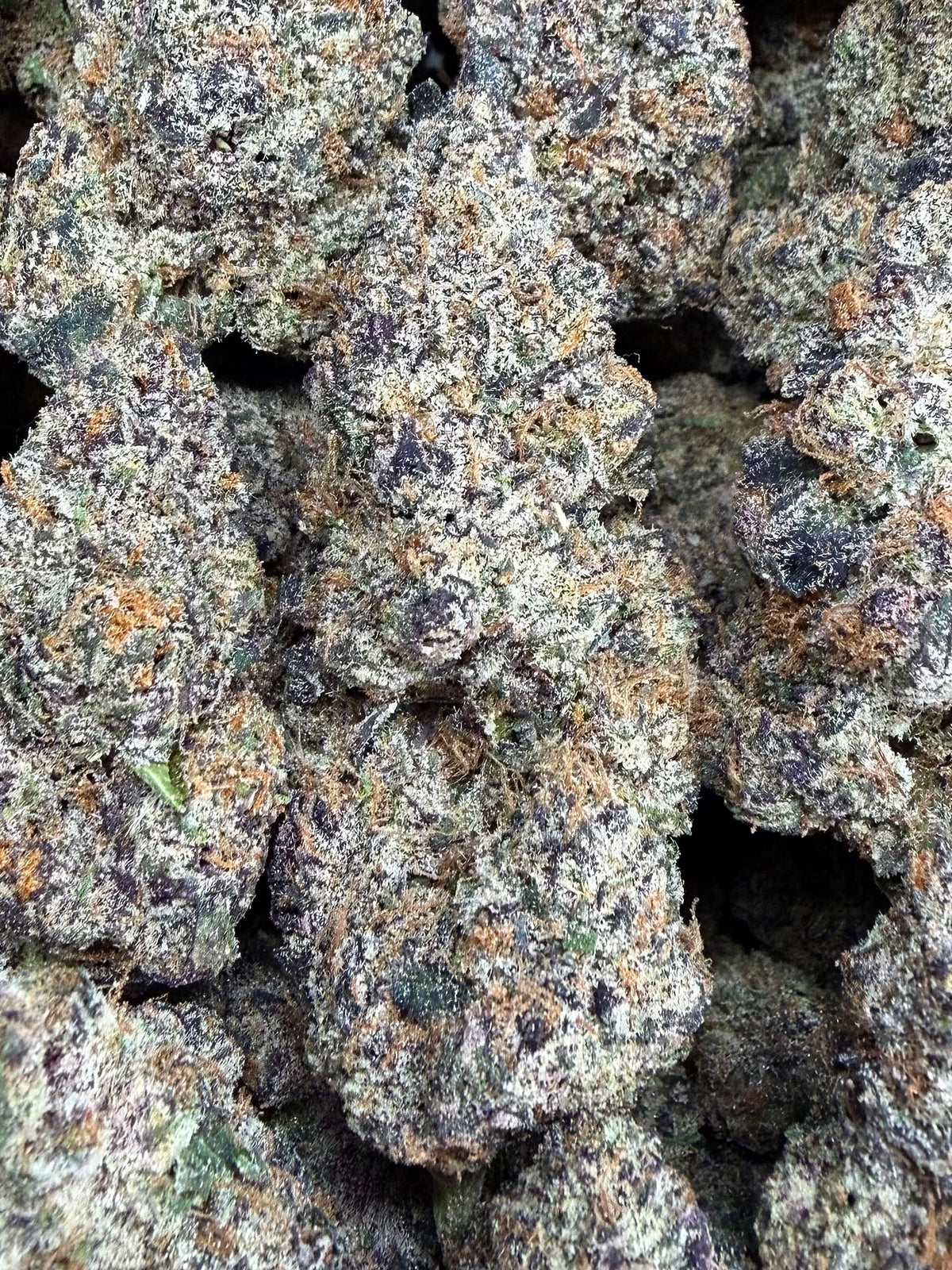 HIGH GRADE