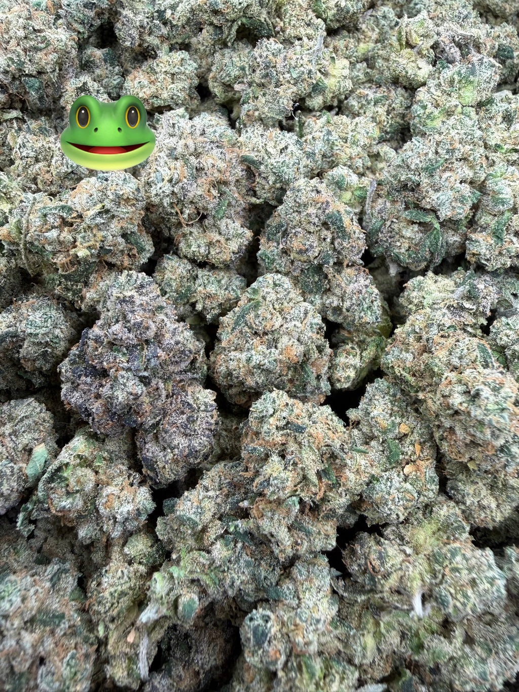 Toad Venom  - 64x 7G Jars