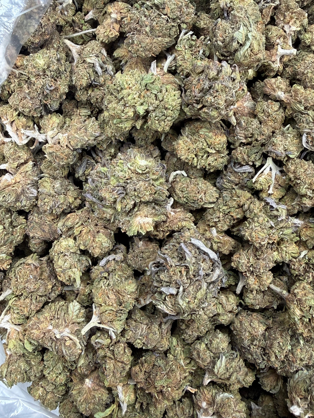 Gelato Cake Smalls