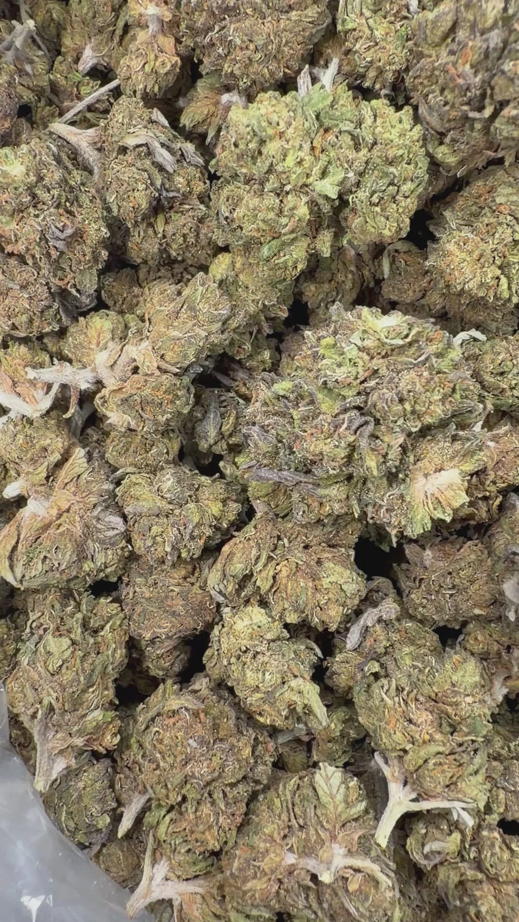 Gelato Cake Smalls