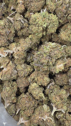 Gelato Cake Smalls