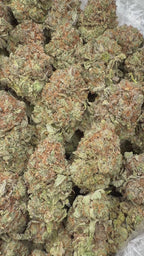 Platinum Bubba