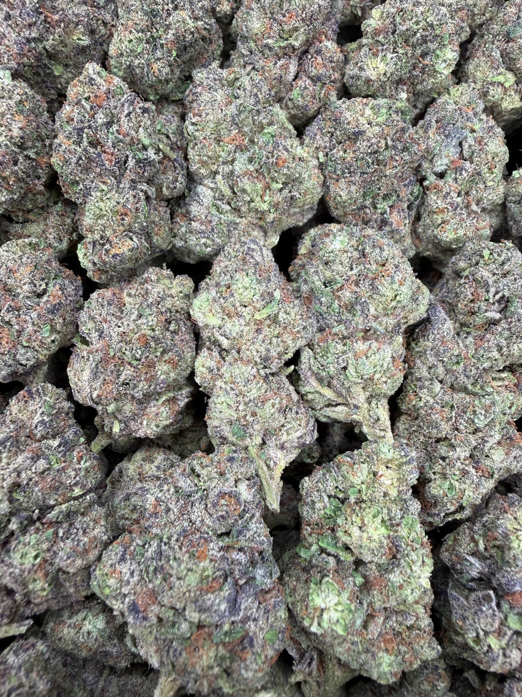 4oz Animal Cookies