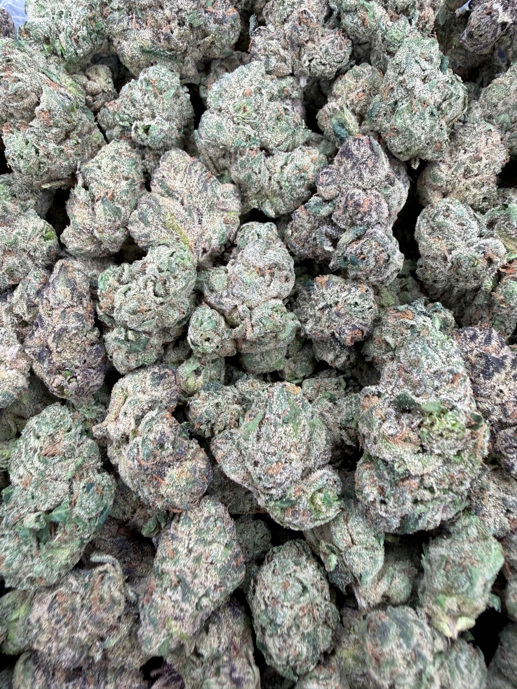 4oz Gassy Toad x Blue Andeze