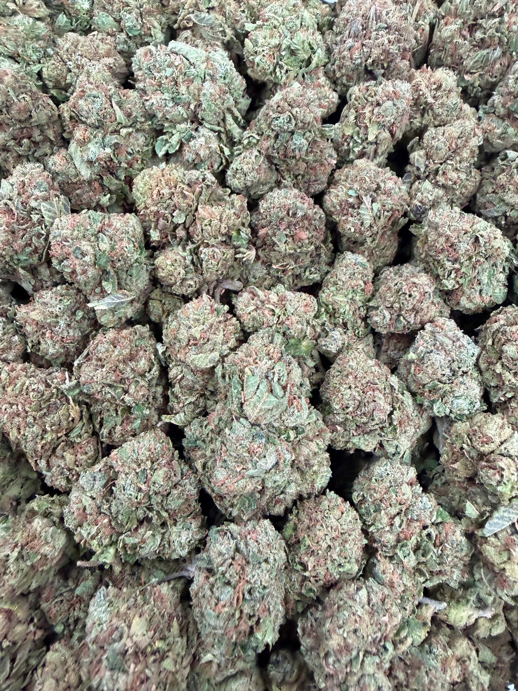 Lemon Cherry Papaya