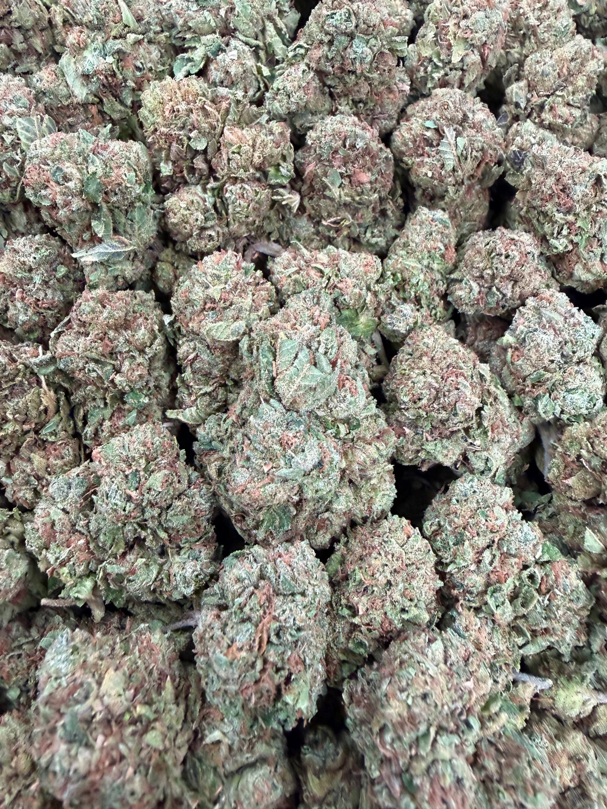 Lemon Cherry Papaya