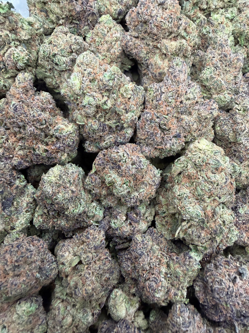 Sunset Sherbet
