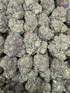 Black Truffles