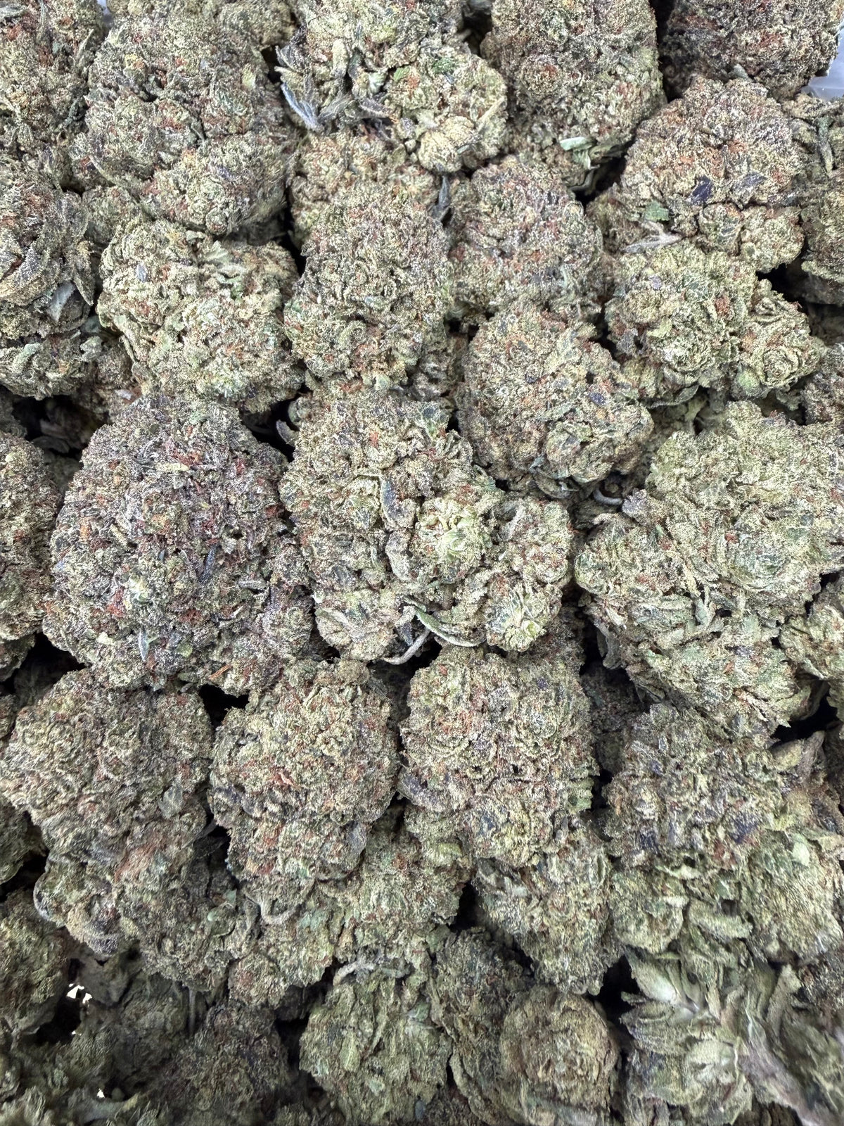 Black Truffles