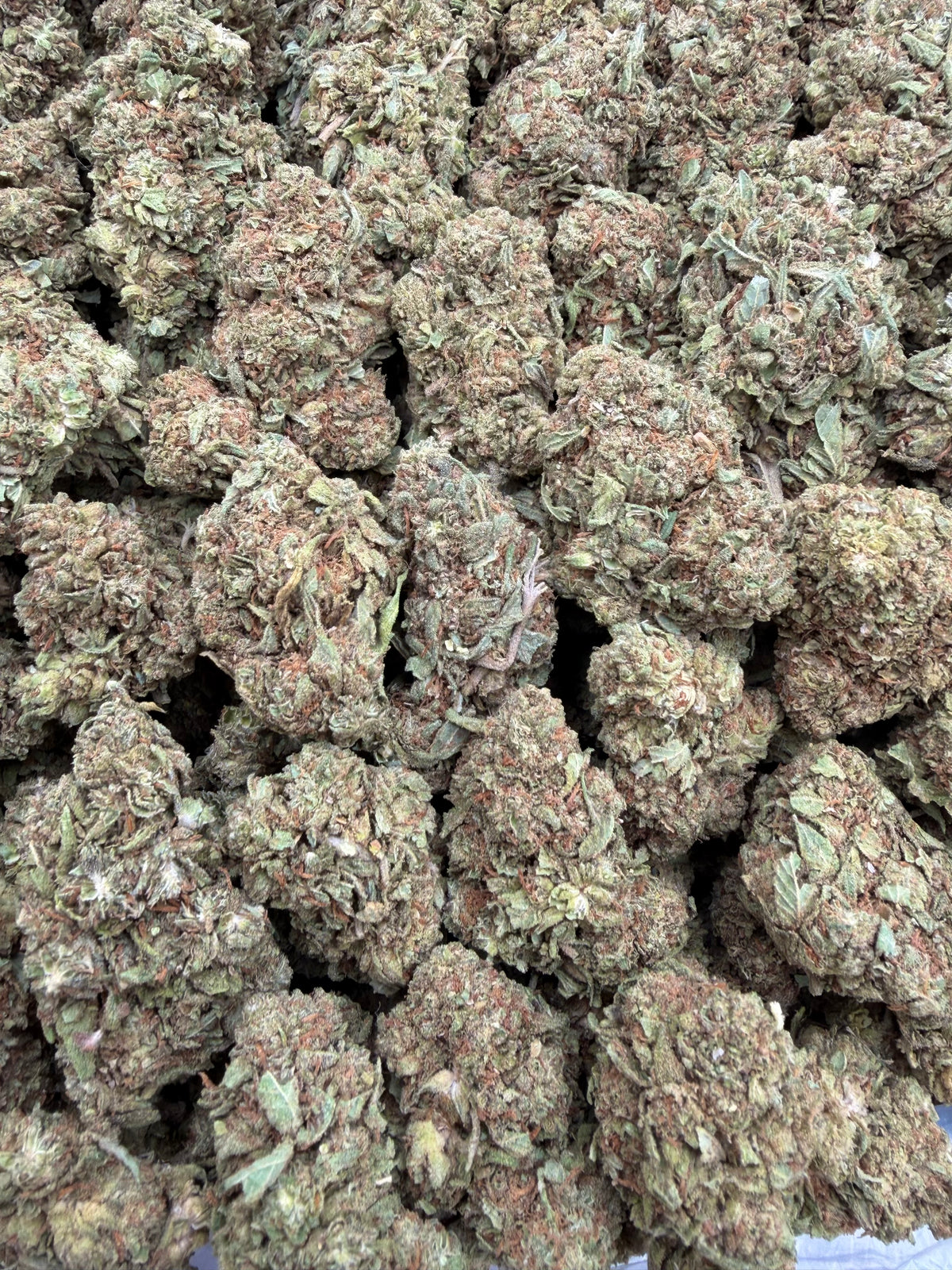 White Walker Kush