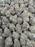 White Widow