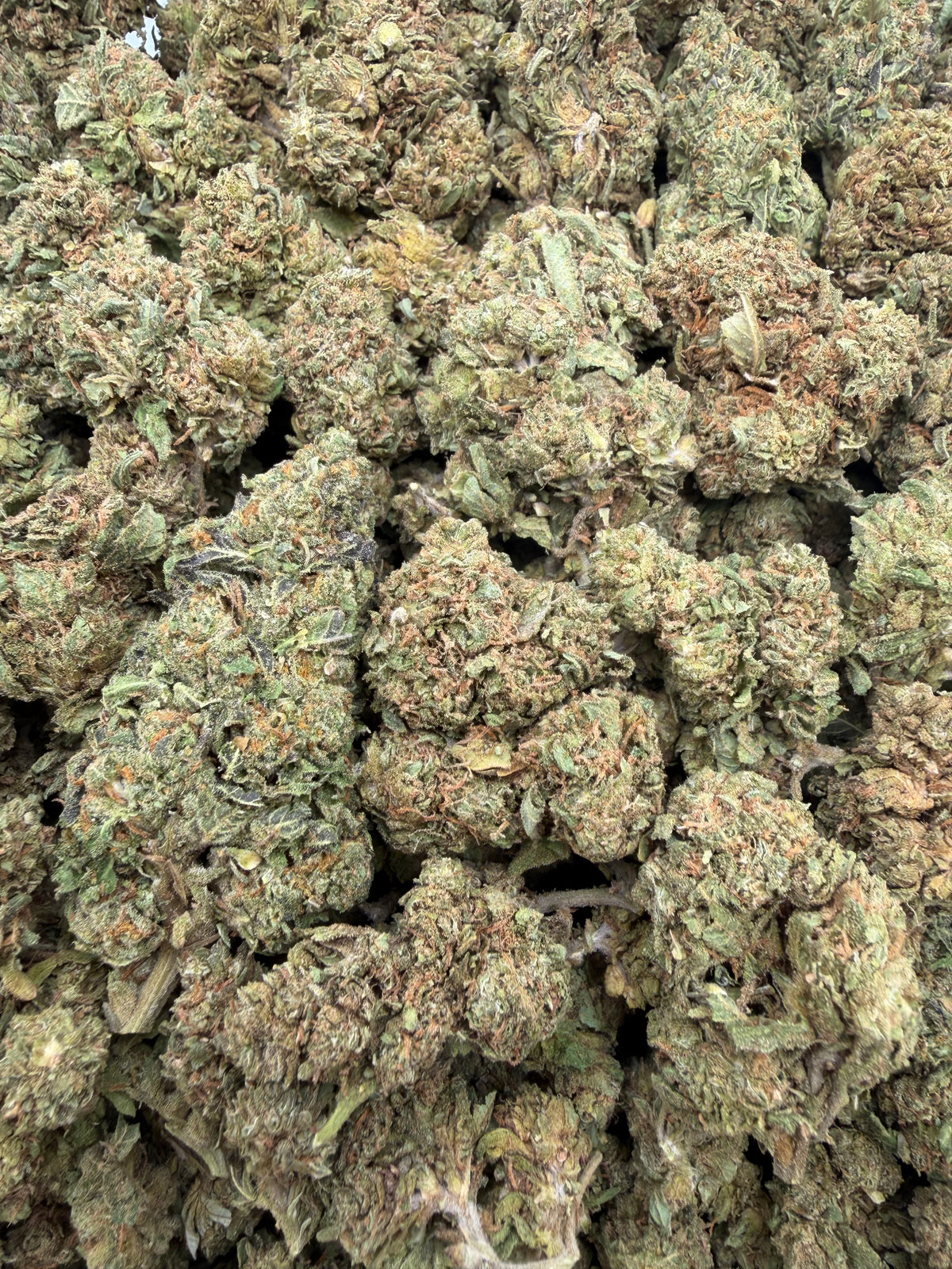 G47