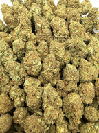 Gelato King