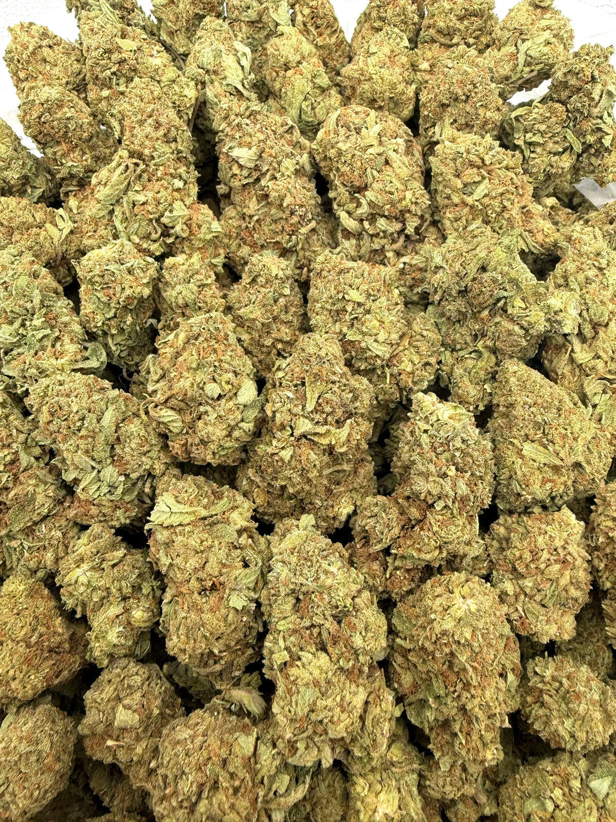 Gelato King