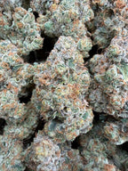 White Fire OG - 64x 7G Jars
