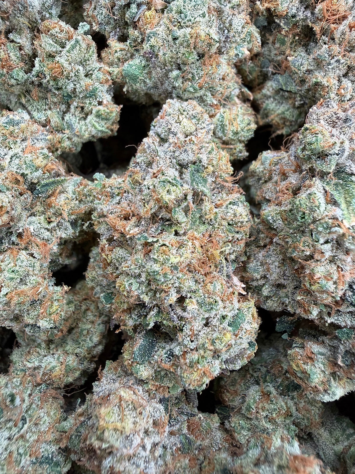 White Fire OG - 64x 7G Jars