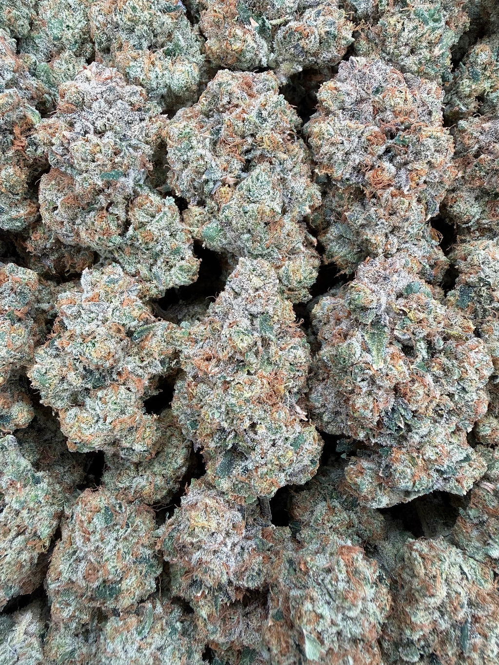 White Fire OG - 64x 7G Jars