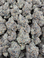 Zebra Fuel - 64x 7G Jars