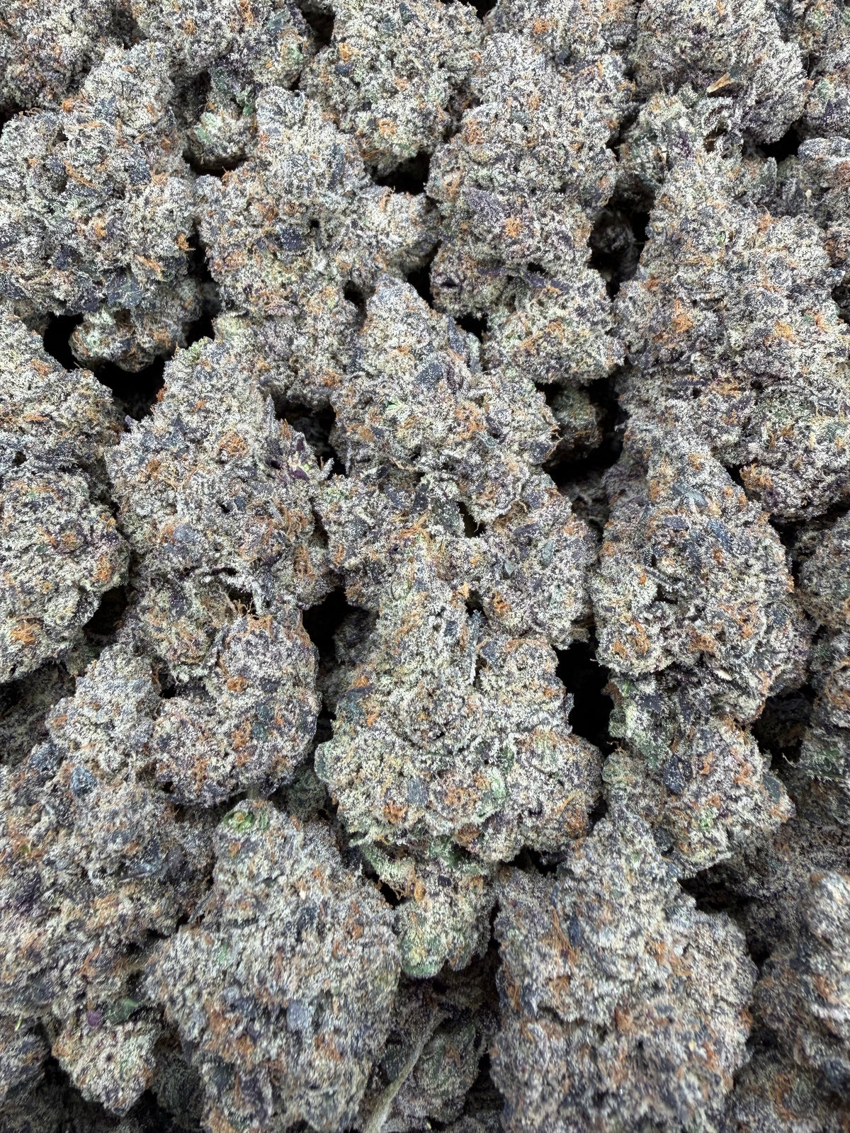 4oz Zebra Fuel