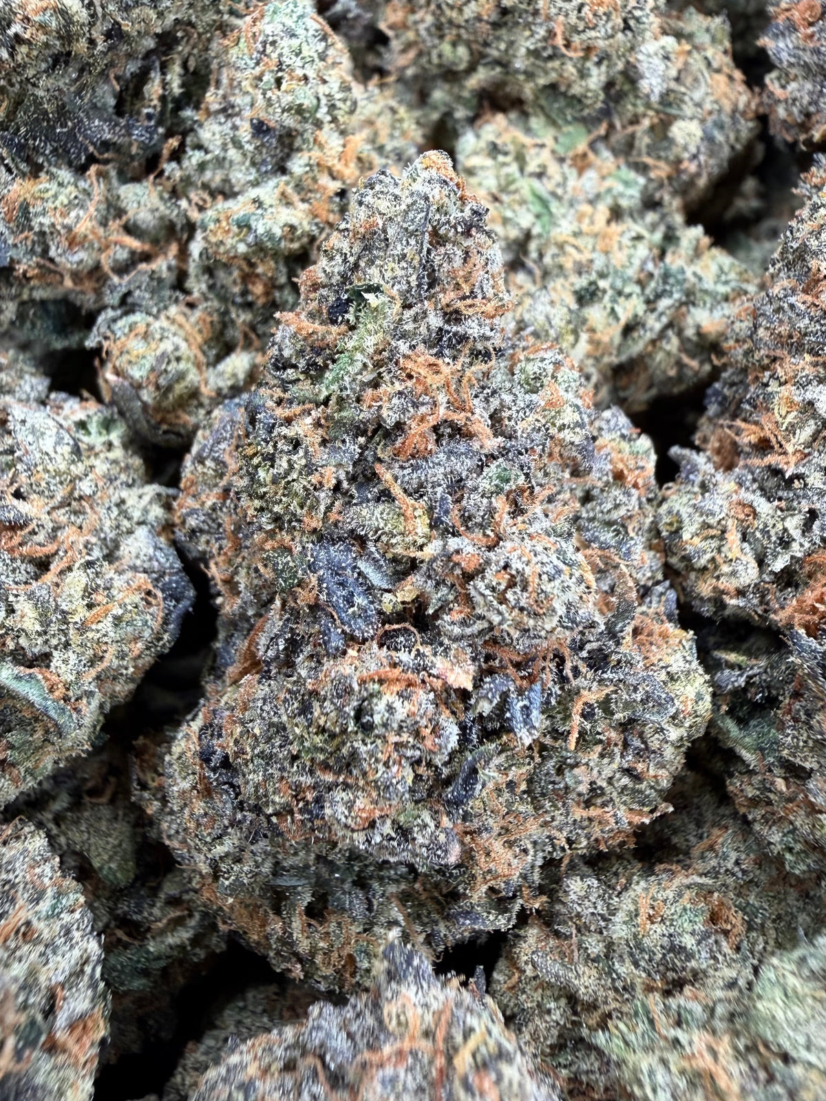 4oz Peanut Butter Bacio Gelato