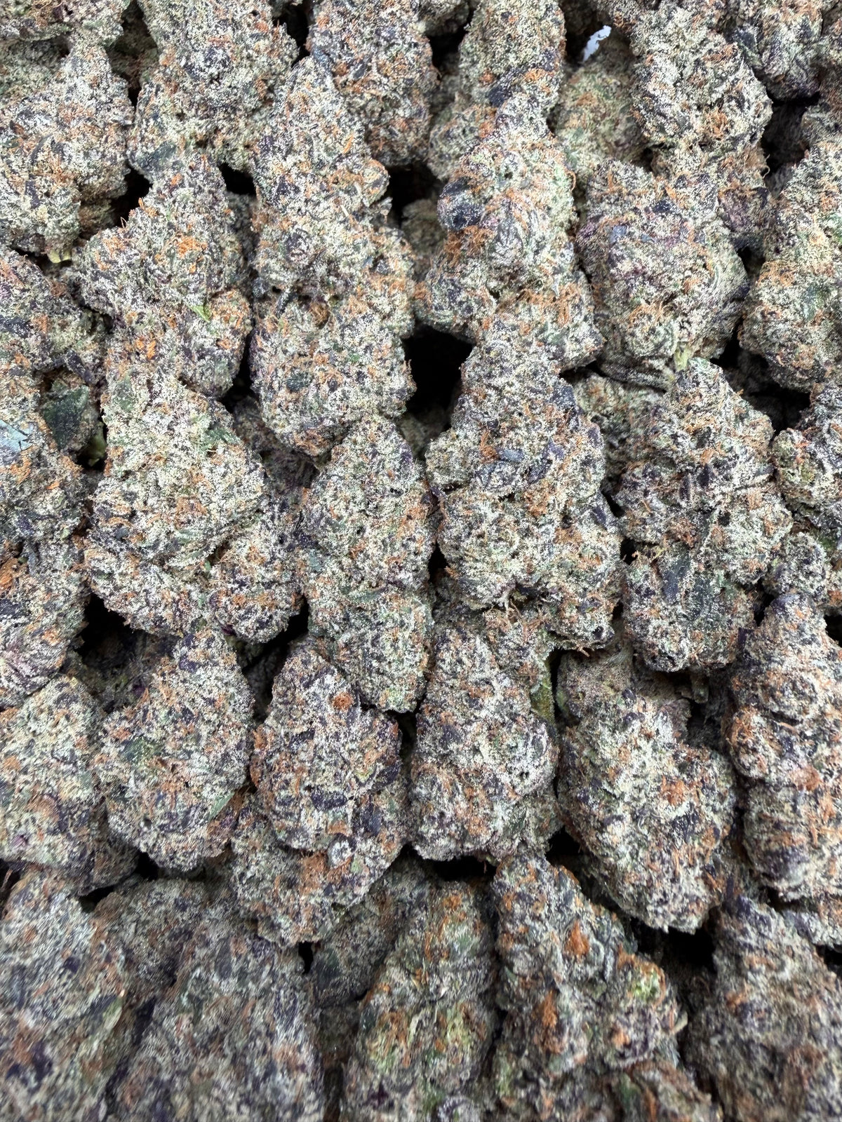 Galactic Runtz