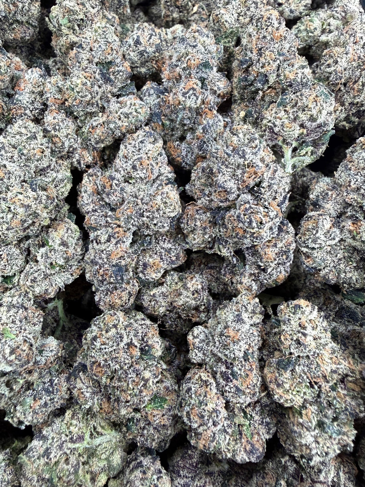 Crown Kola - 64x 7G Jars