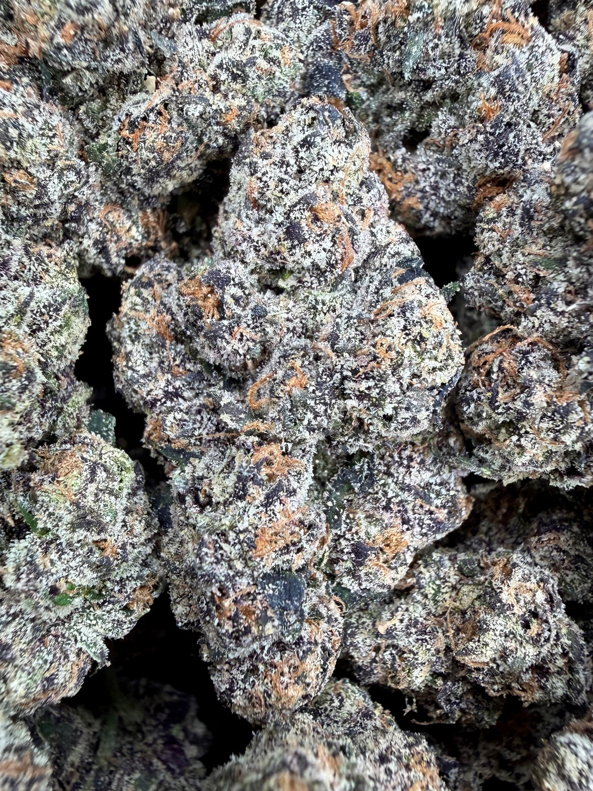 Crown Kola - 64x 7G Jars