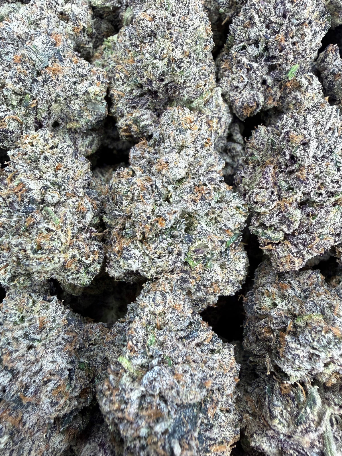 Rainbow Kotton Candy - 64x 7G Jars
