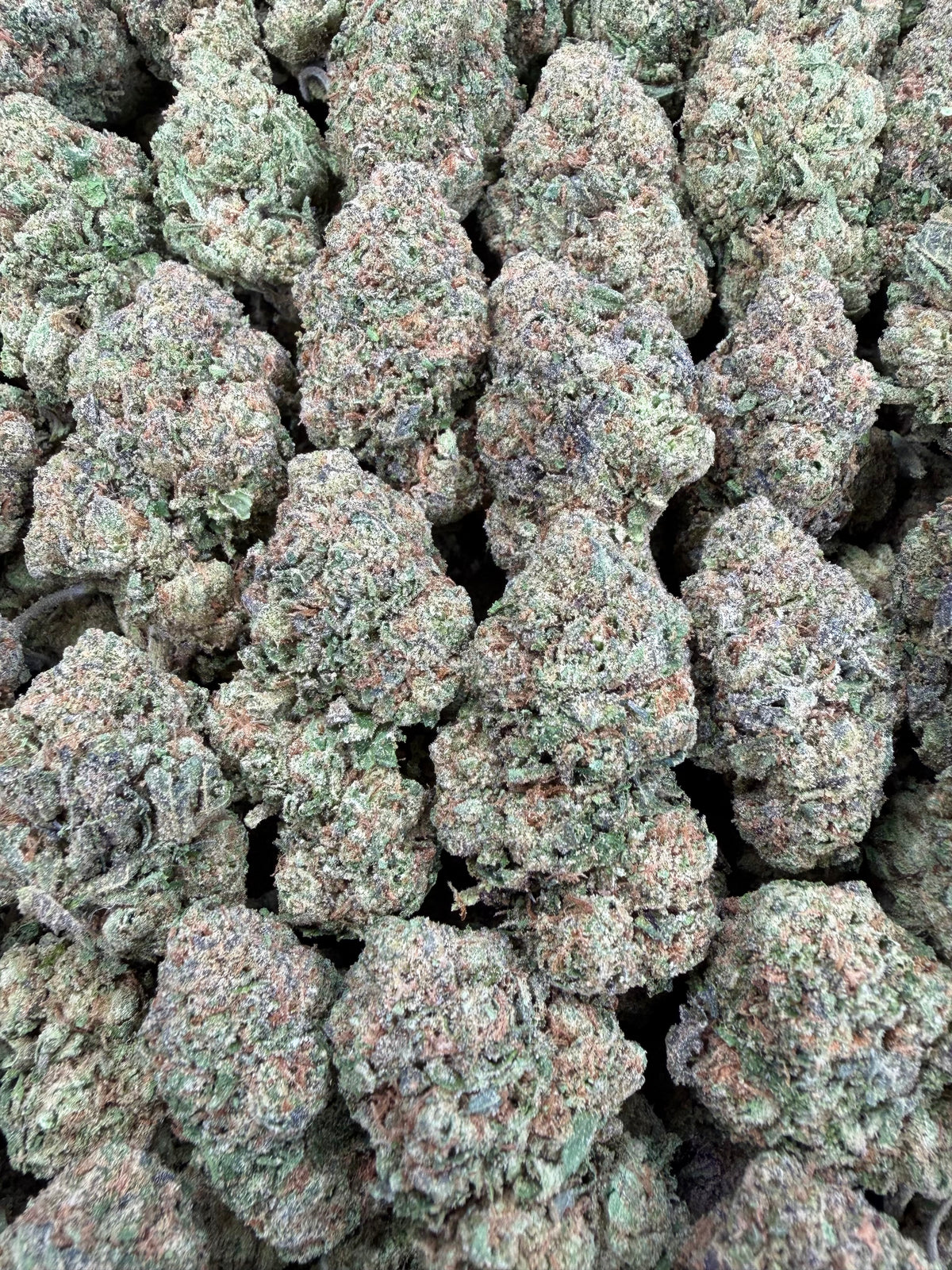 Purple Lemon Cherry Gelato