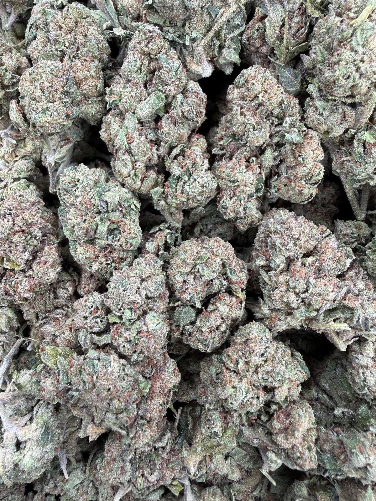 Lemon Cherry Runtz