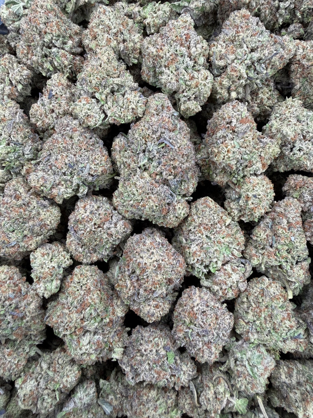 Gelato Ice