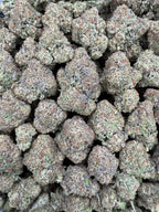 Gelato Ice