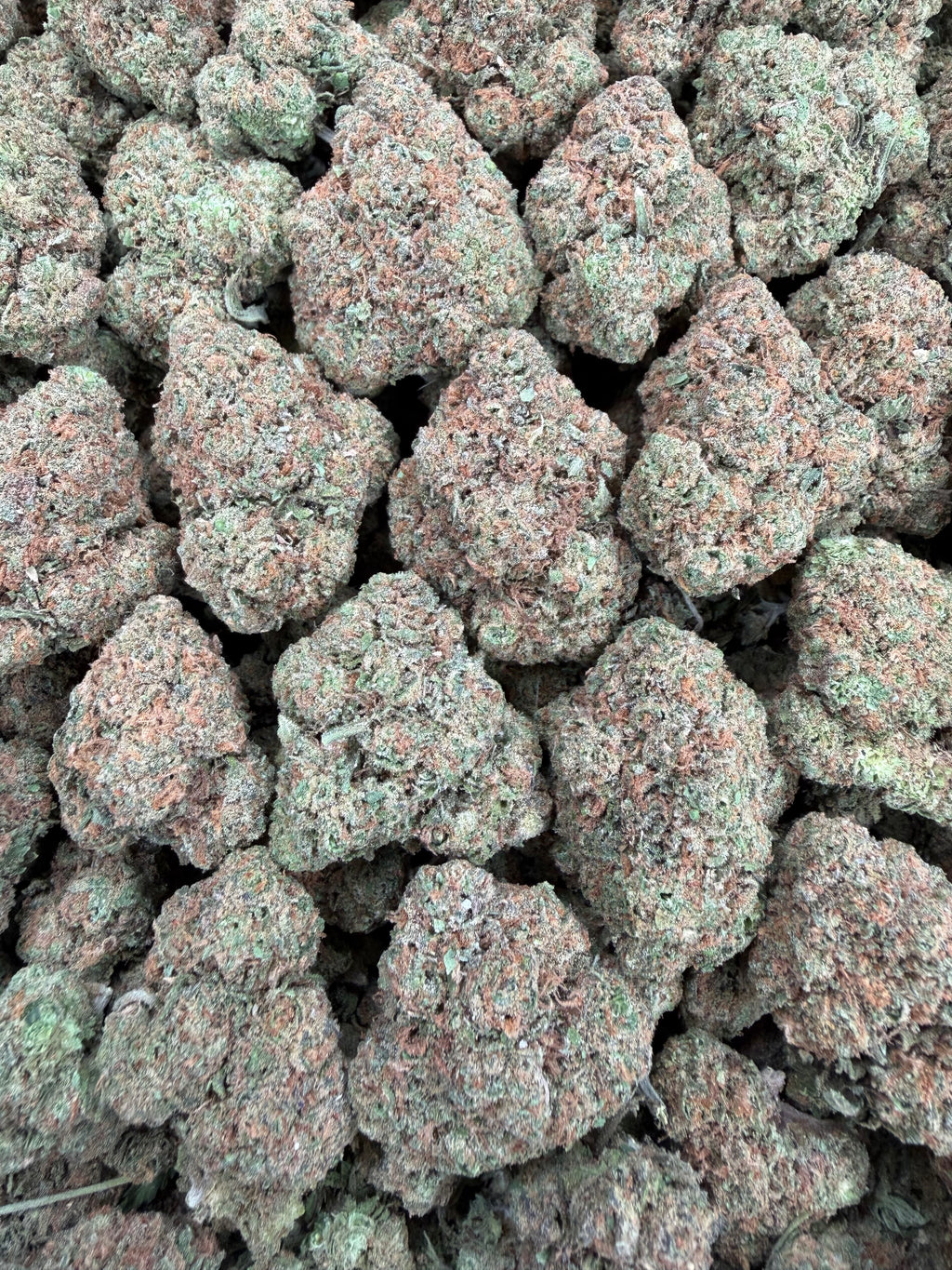 Gelato 47 (Room 1)