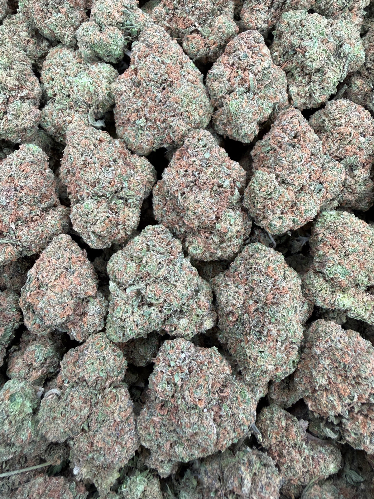 Gelato 47 (Room 1)