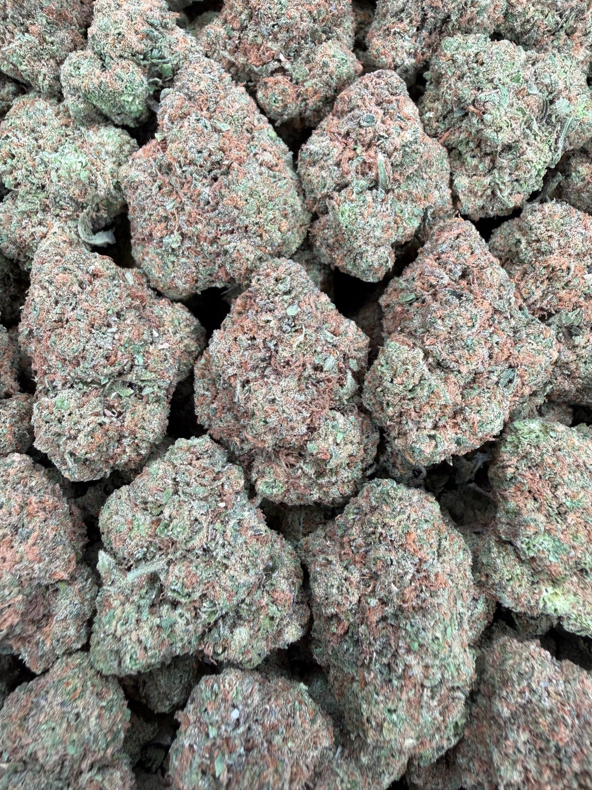Gelato 47 (Room 1)