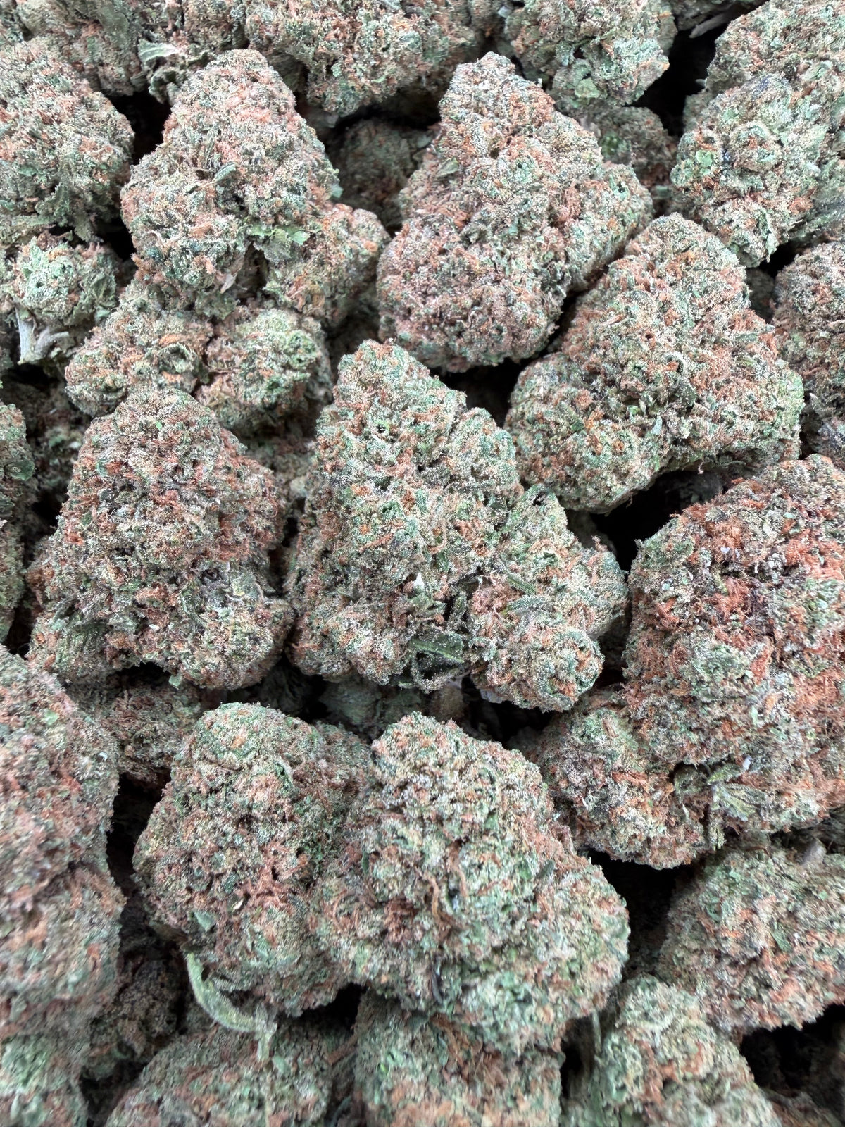 Gelato 47 (Room 2)