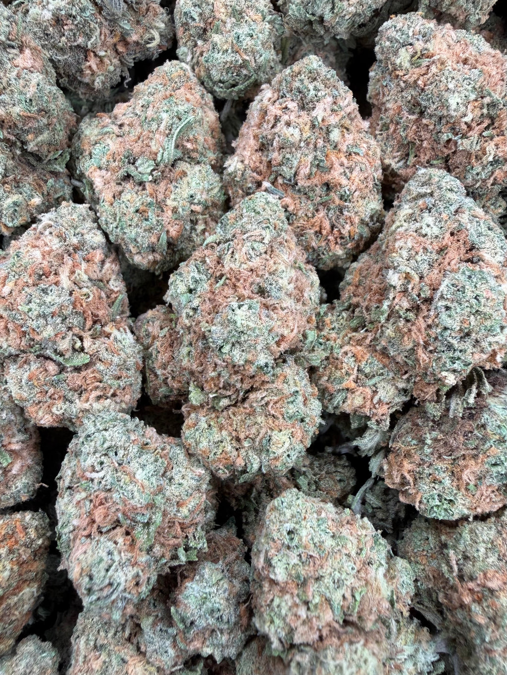 Mango Gelato