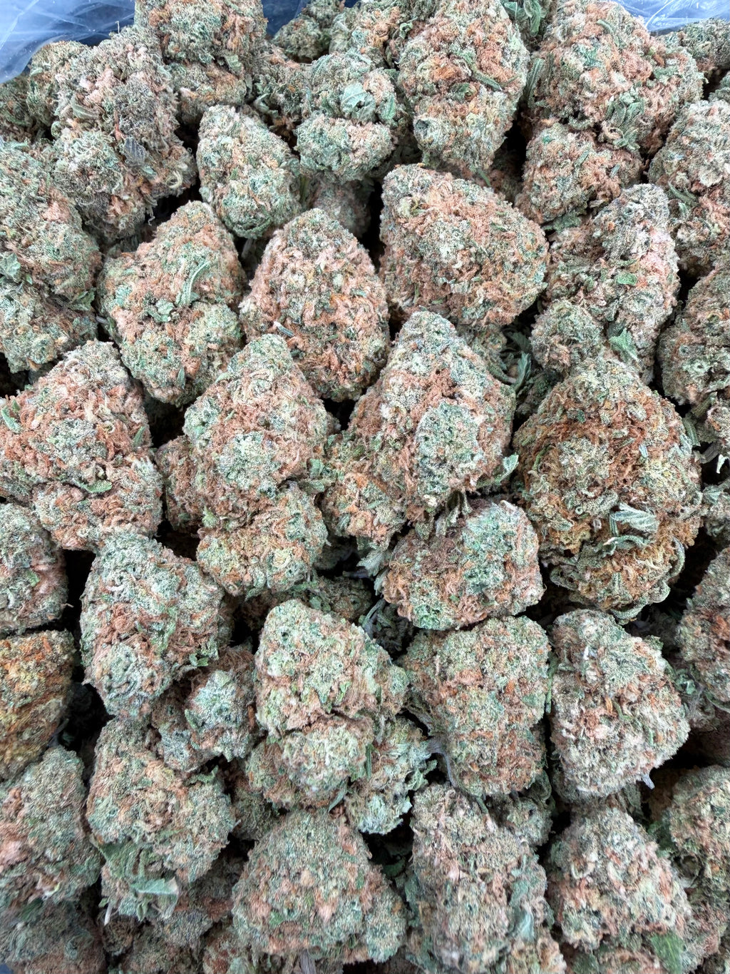 Mango Gelato
