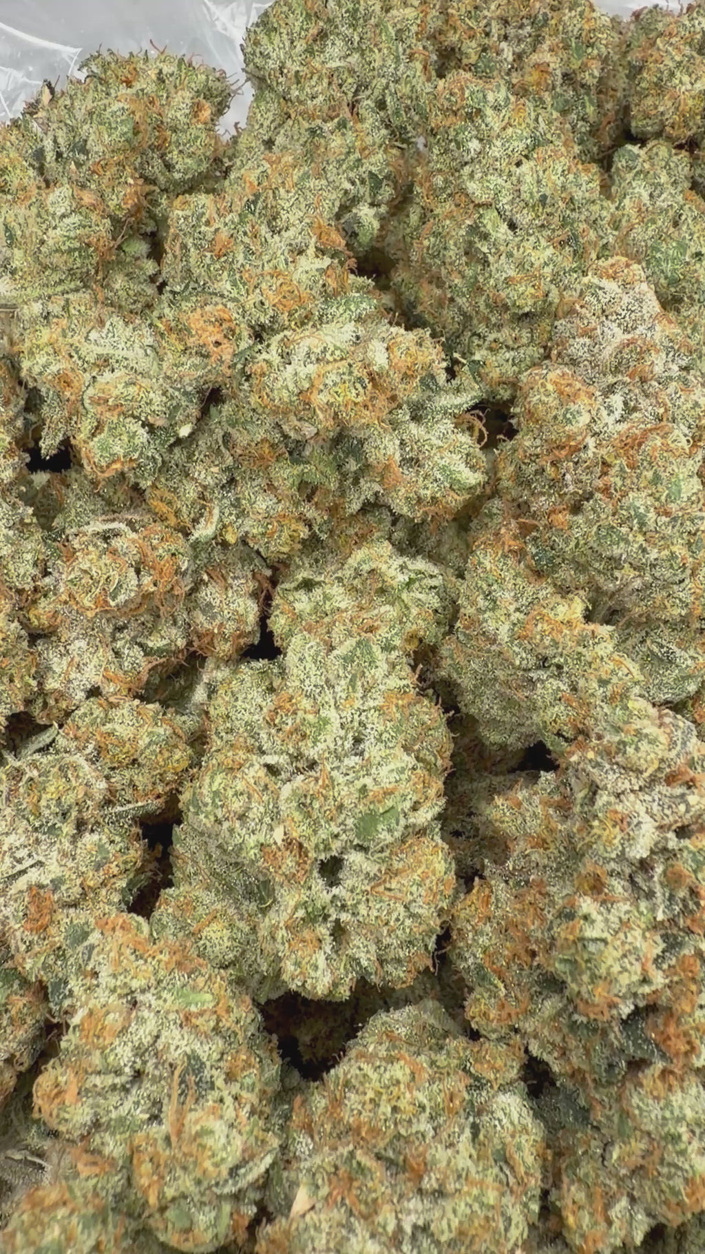 White Fire OG - 64x 7G Jars