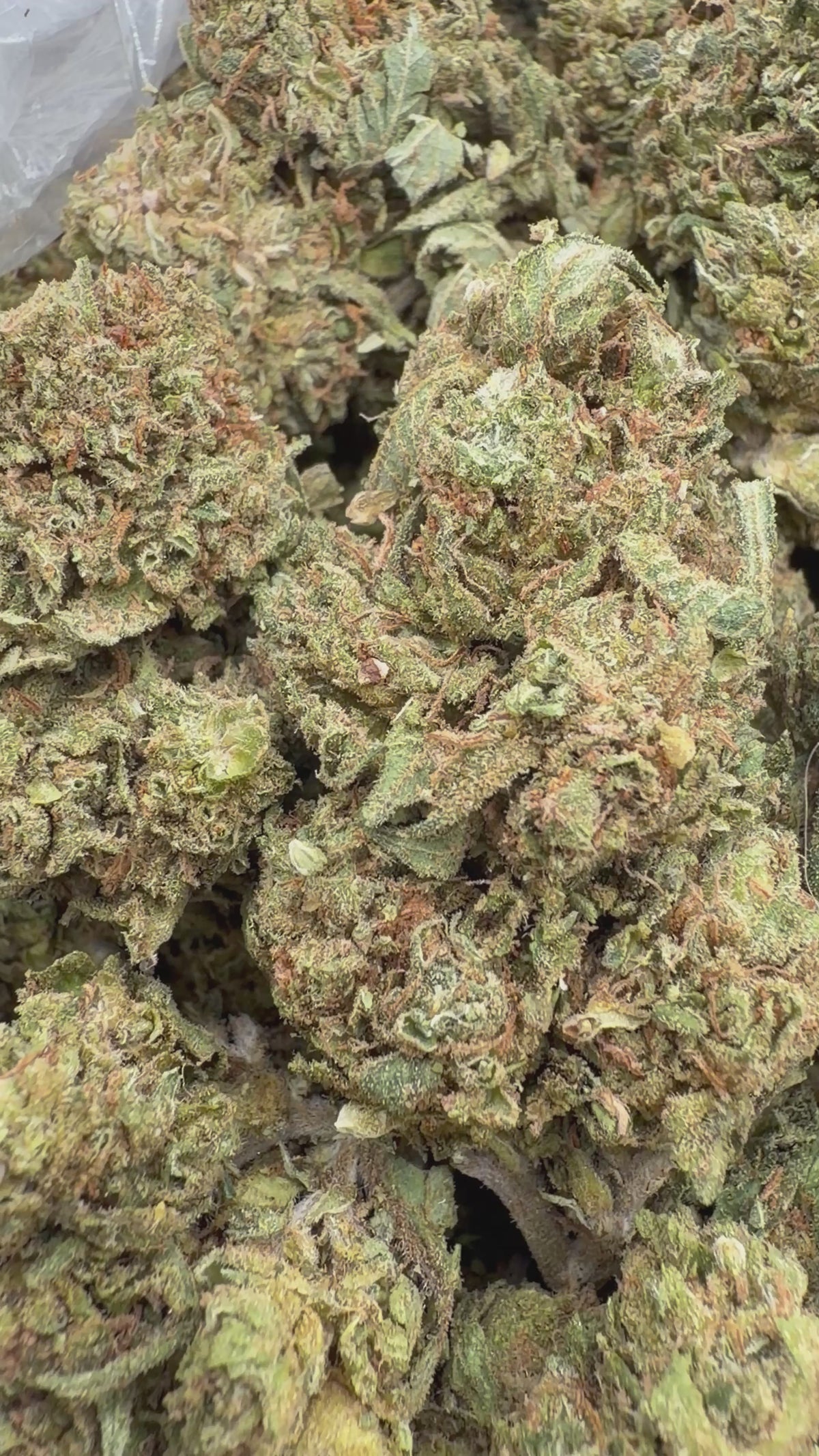 G47