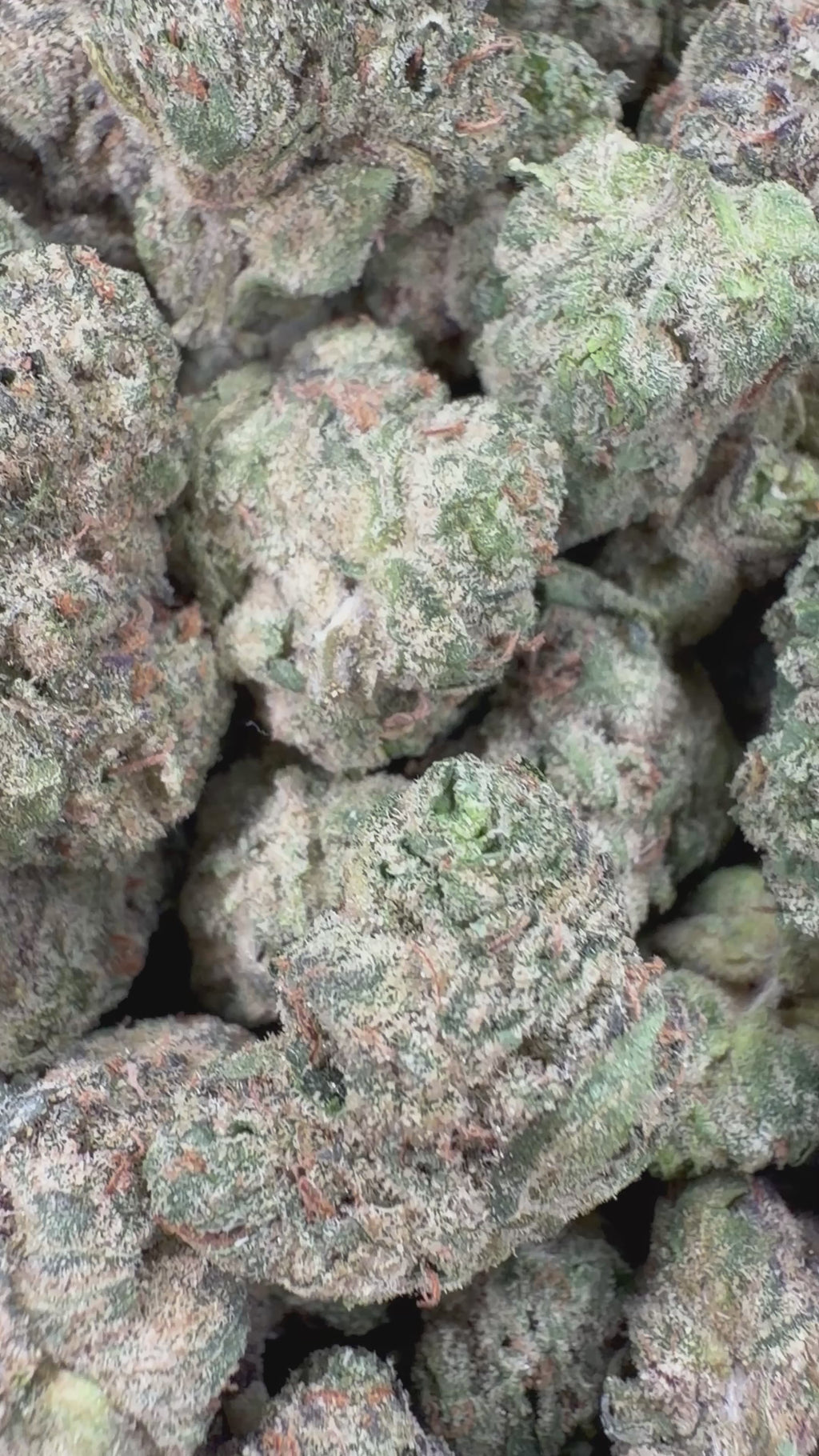 4oz Gassy Toad x Blue Andeze