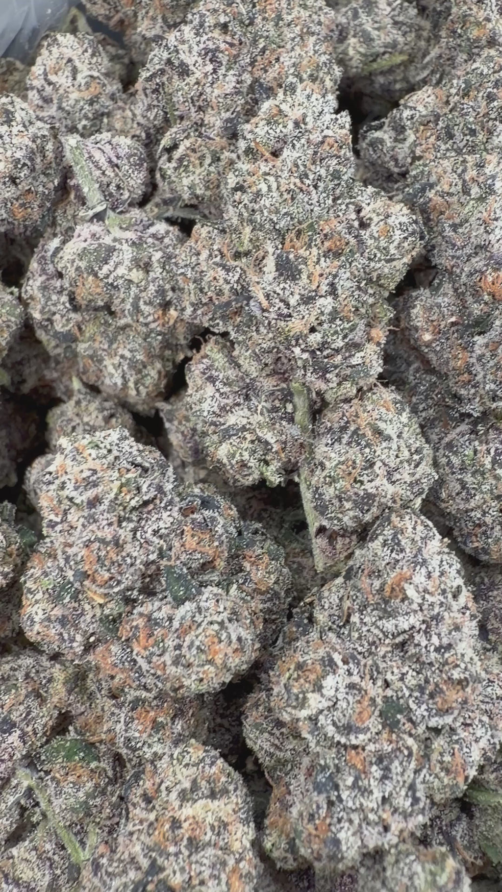 Crown Kola - 64x 7G Jars