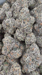 Crown Kola - 64x 7G Jars
