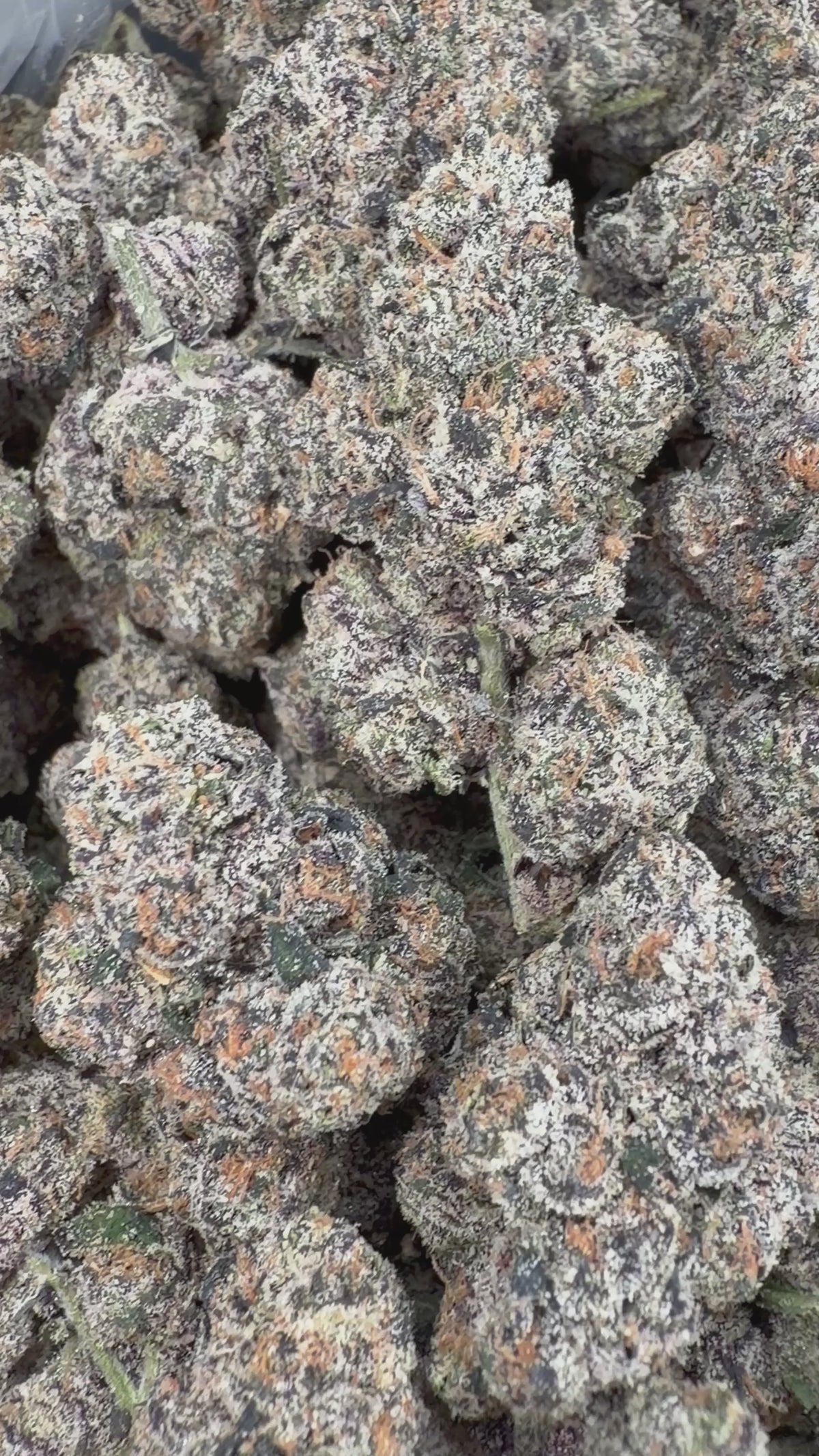 Crown Kola - 64x 7G Jars