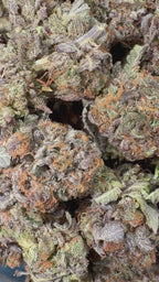 Purple Bubba