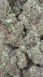 Candy Gas