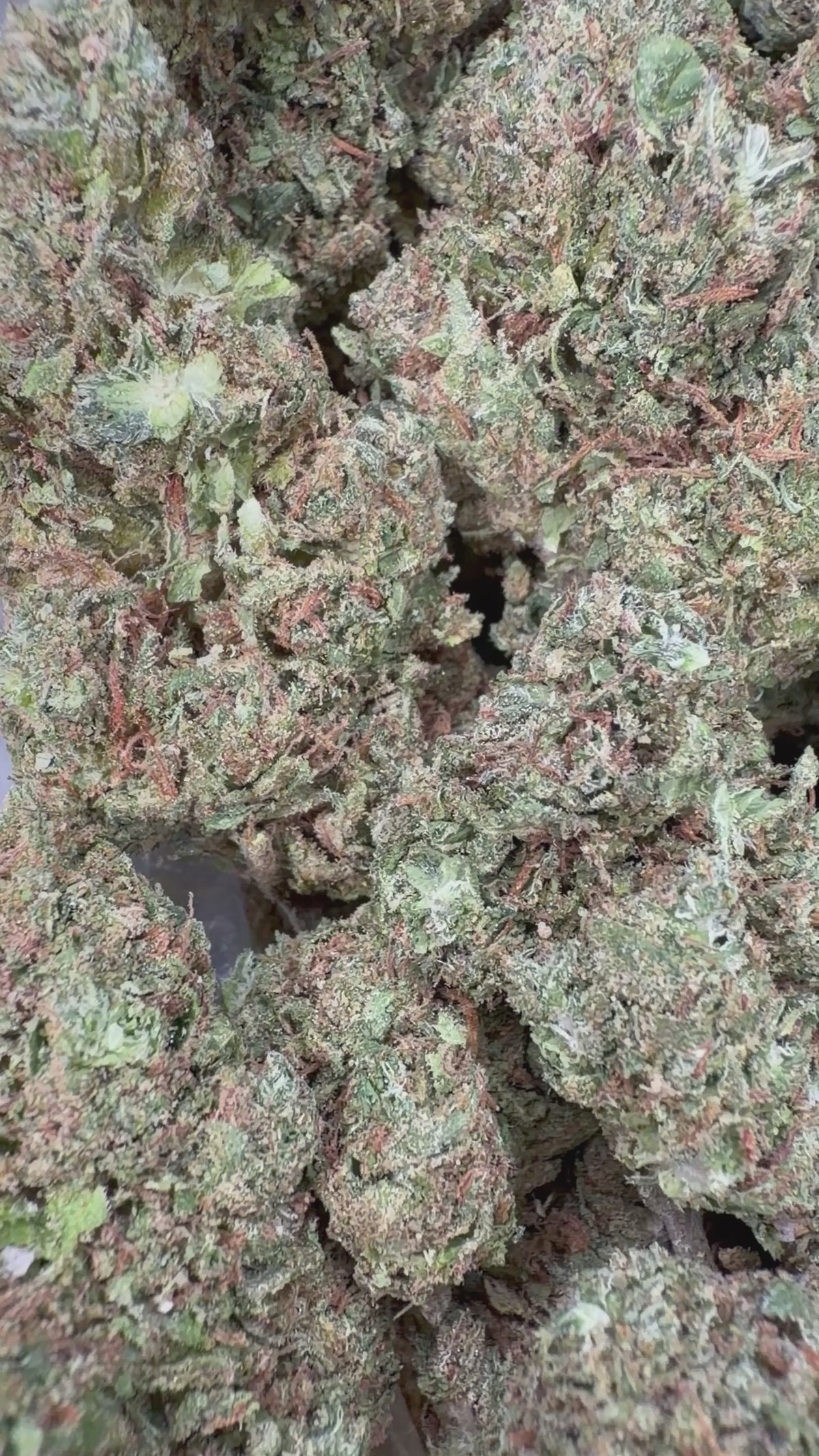 Candy Gas