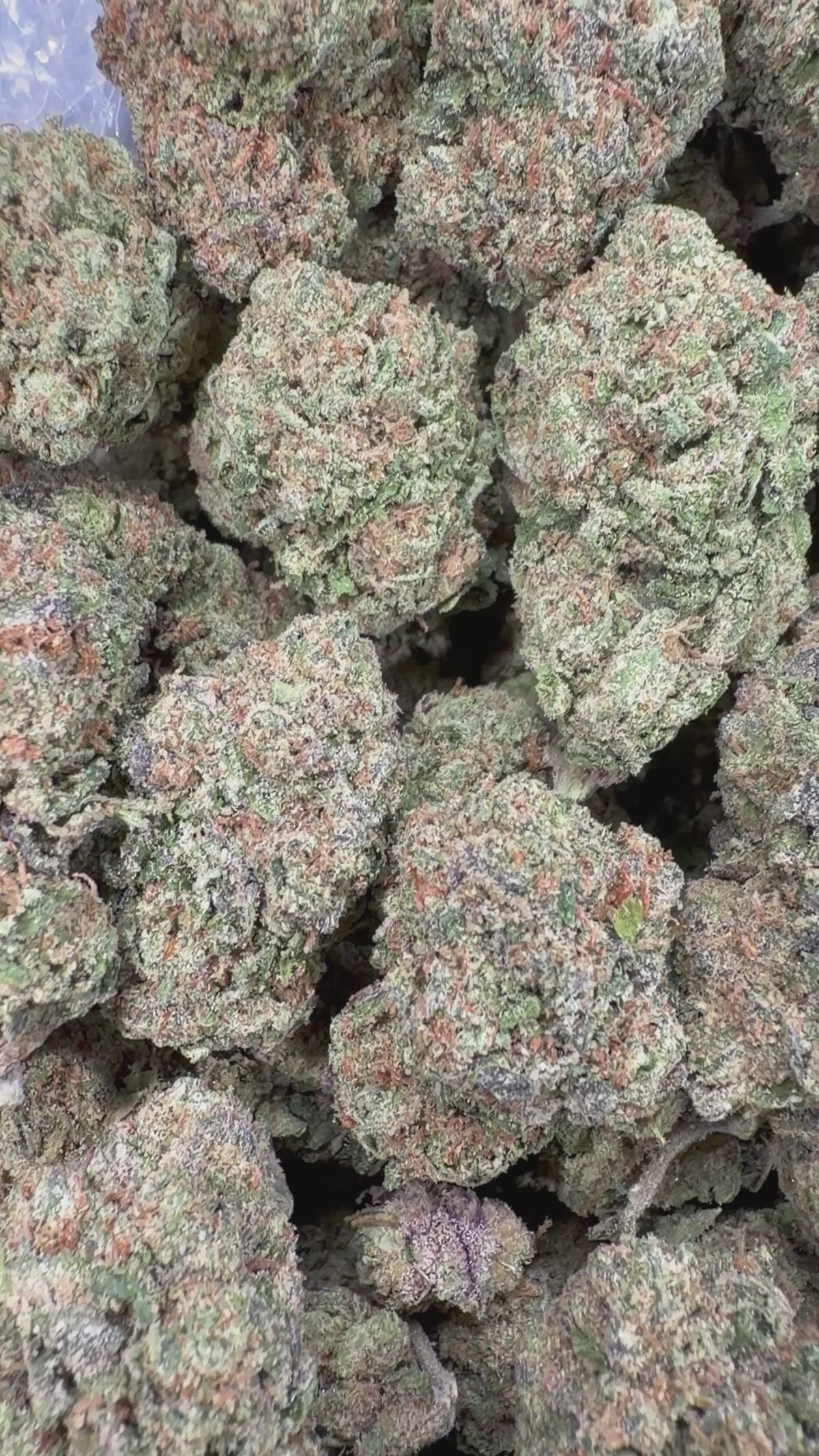 Purple Lemon Cherry Gelato