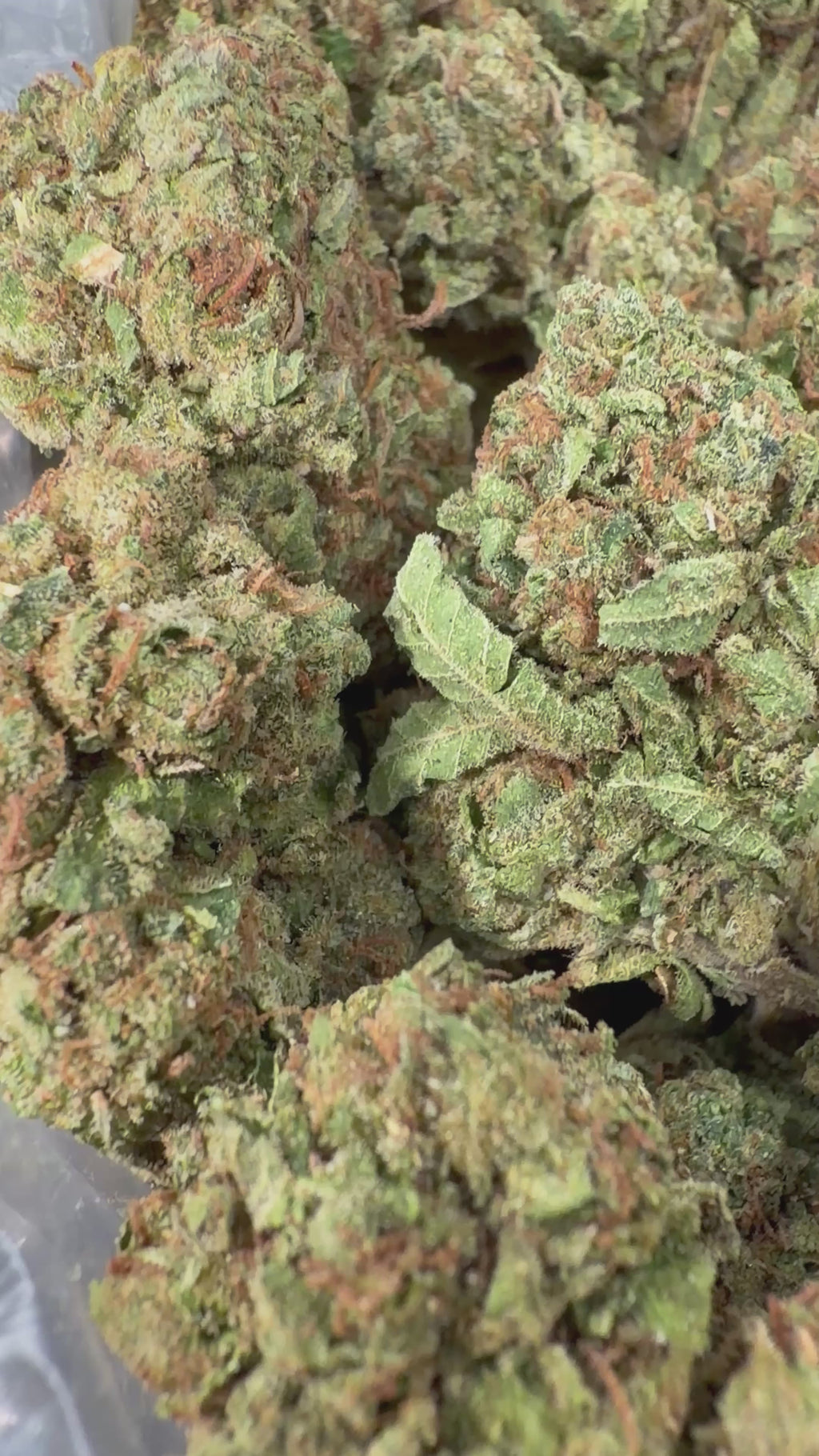 Lemon Cherry Papaya