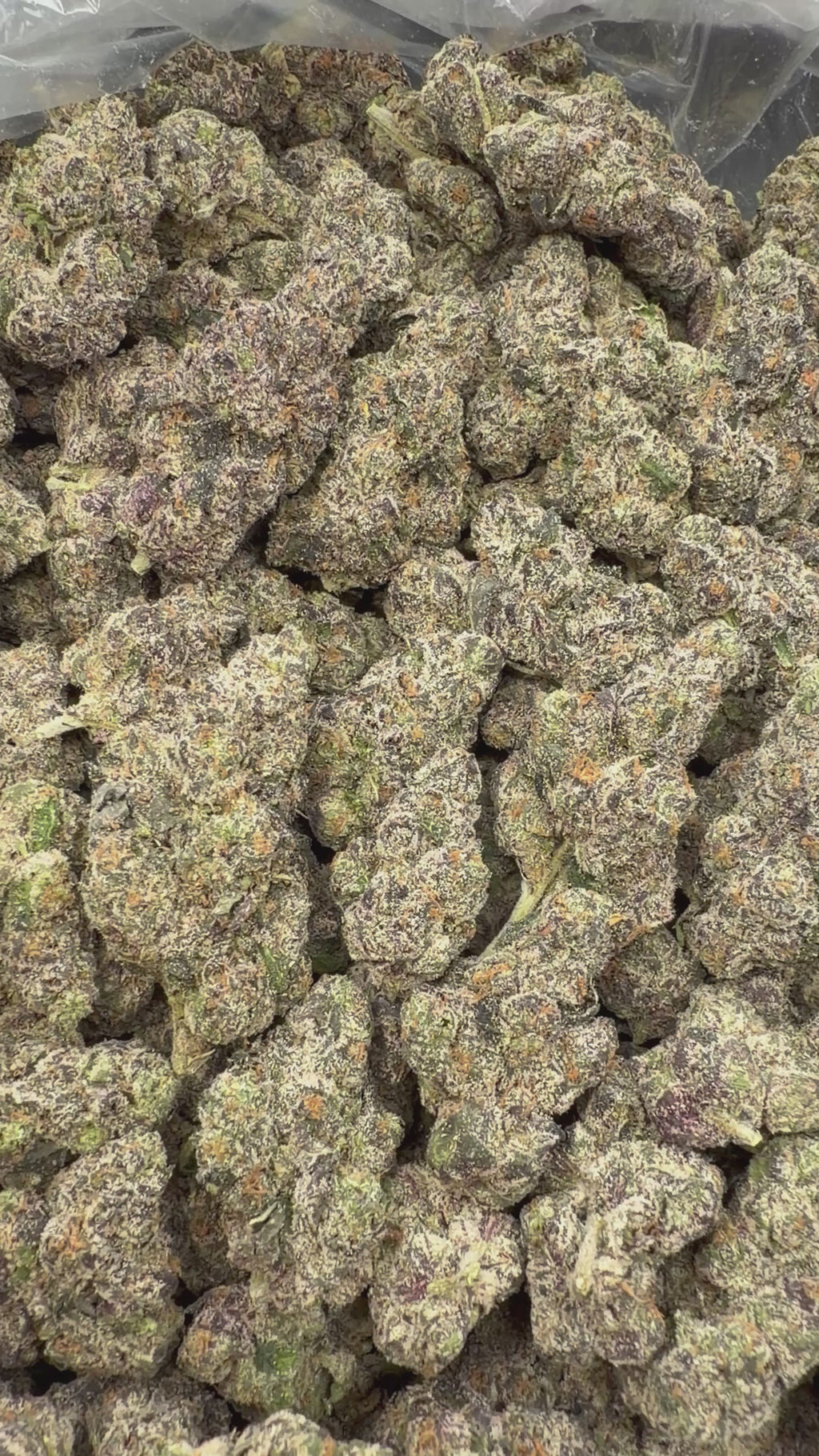Purple Razzleberry Runtz